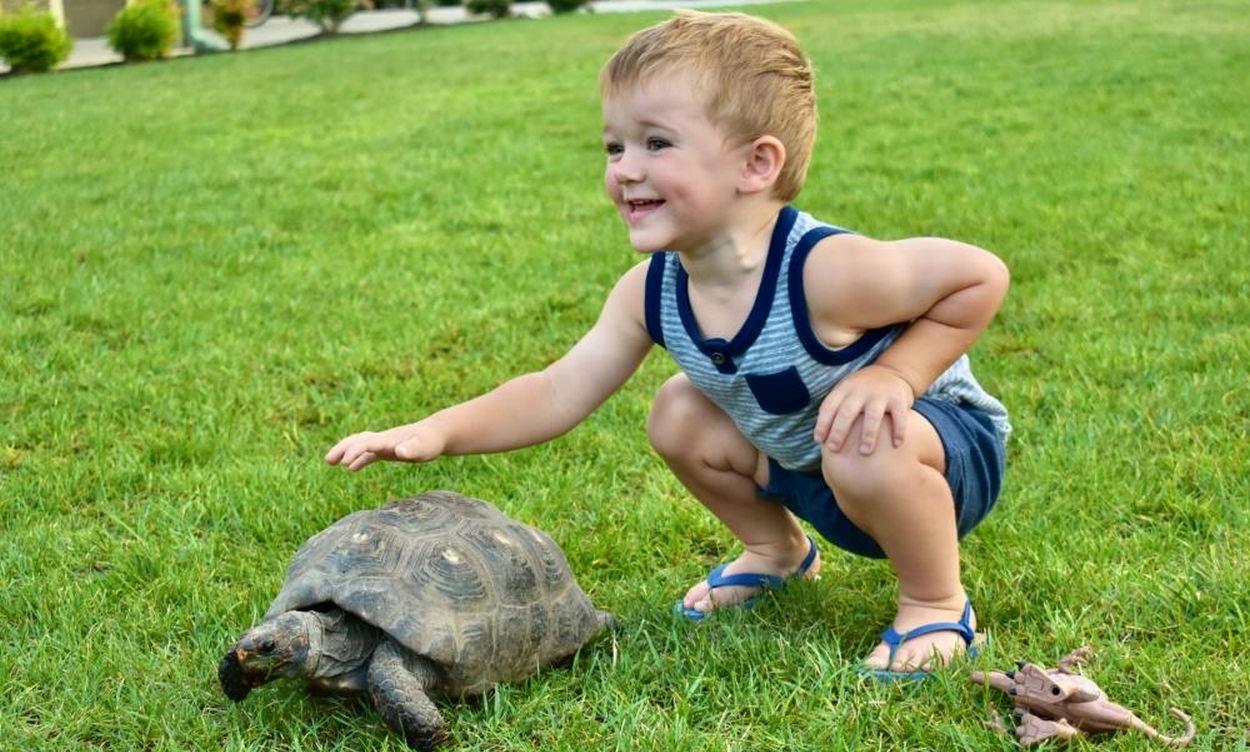 Pet-Friendly Campground Near the Jersey Shore