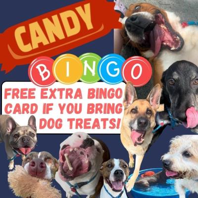 Candy Bingo (with a Cause!)