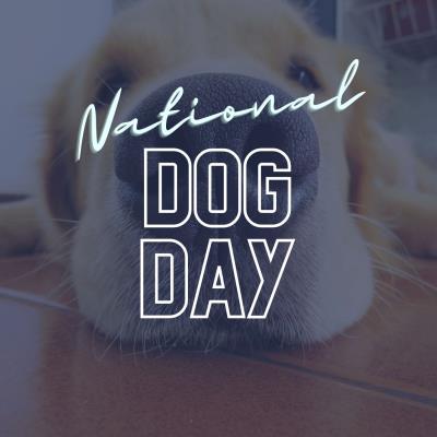 National Dog Day: Free Pup Cups!