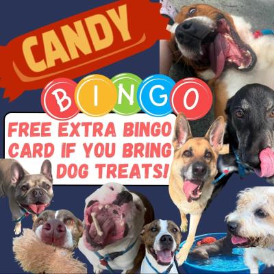Candy Bingo with a Cause