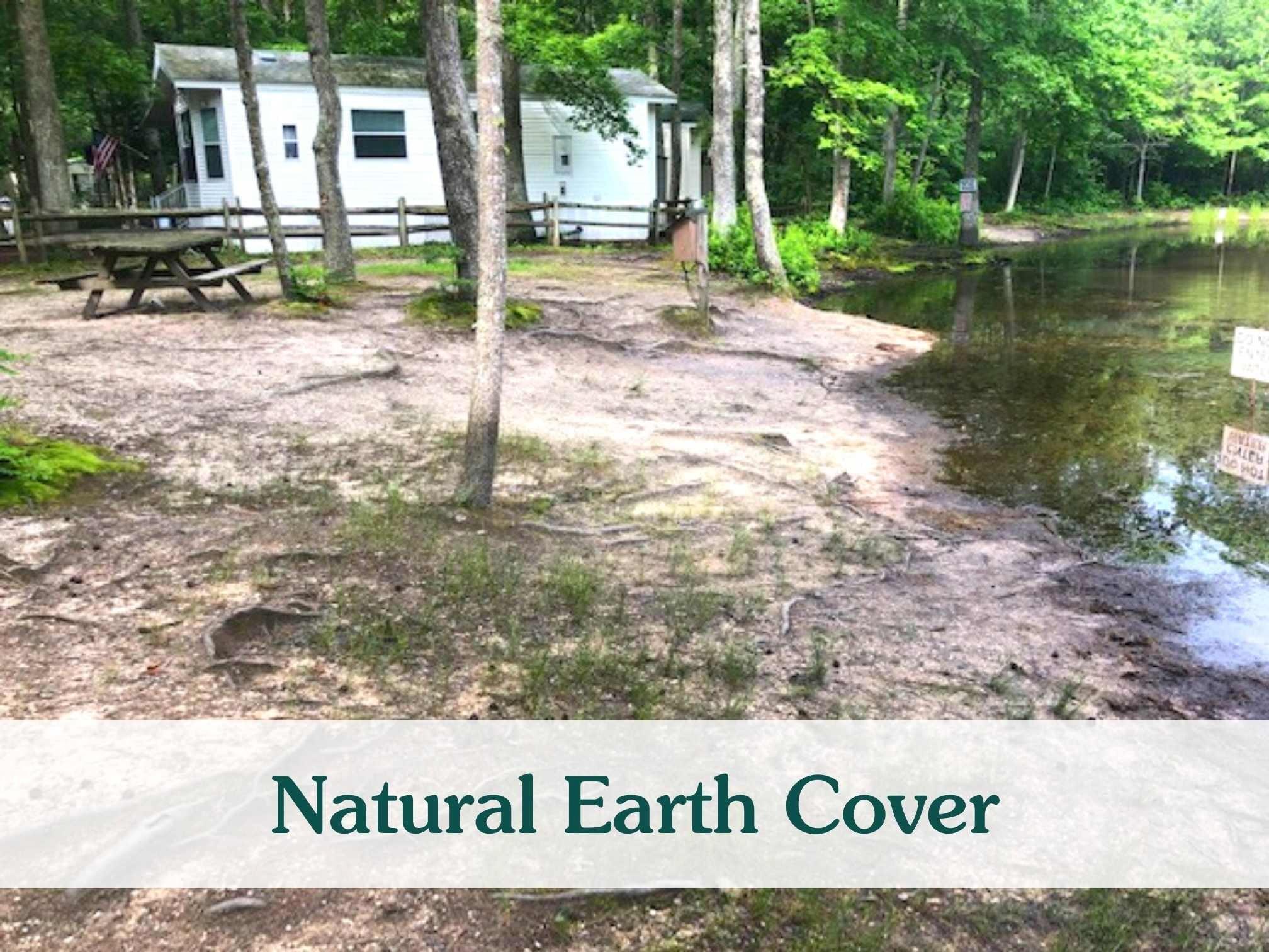 natural earth cover