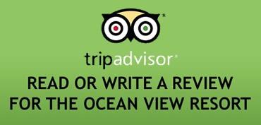 tripadvisorreviews.jpg